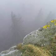 Zmiana_rozmiarudsc06117_card