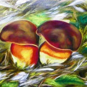 Ceps_2