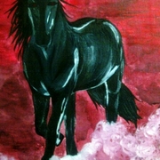Night_stallion__redefined__card