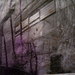 100_2758_square