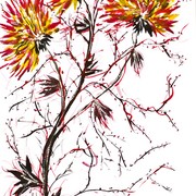 Firecracker_flowers_card