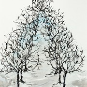 Path_of_trees_card