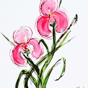 Pink_iris_card