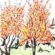 Red_and_hot_leaves_card