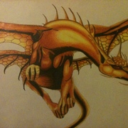 117_card