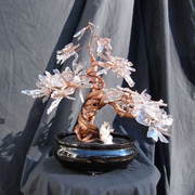 Bonsai_027_card
