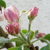 P1020534_thumb