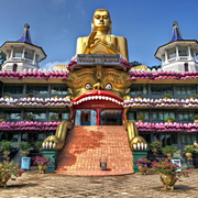 Buddha_s_big_top-1_card