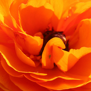 Img_6776_copy_card