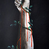Rose_thumb