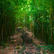 Staircase_card