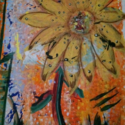 Picture_010_card