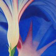Morning_glory_card
