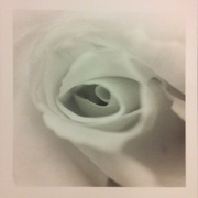 Artbreak_2012-01-16_16-10-27_p1_card