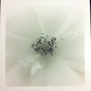 Artbreak_2012-01-16_16-10-27_p3_card