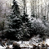 Pentax_195_thumb