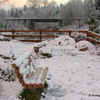 Pentax_329_thumb