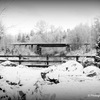 Pentax_330_thumb