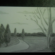 Dscn2335_card