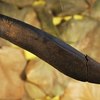Phallic_carving_thumb
