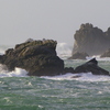 Imgp8758_thumb
