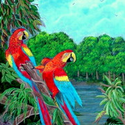 Dscf1483_card