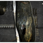 Below_chicago_2_card