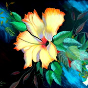 Dscf1495_card