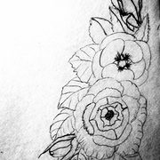 X_flwr_sketch__img_9278_dla60_card
