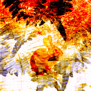 Crazyrabbitsmall_card