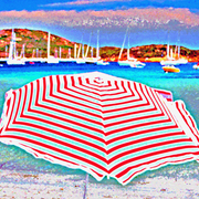 Rondinara_card