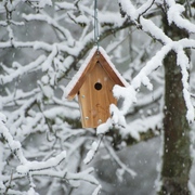 Dsc_4284_card