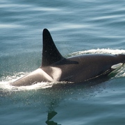 Dsc_3829_card