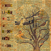 Fowl_that_may_fly_upon_the_earth_card