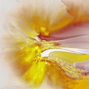 Fffjfr4556_card