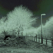 B_029lk_card