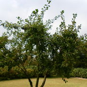 Sam_3161_card