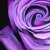 120420111580_tiny_square