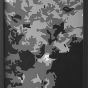 59ºazenha_card
