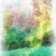 Front_yard_-_fall_2011_card