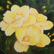 Fresias__amarillas_card