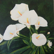 Calas_card