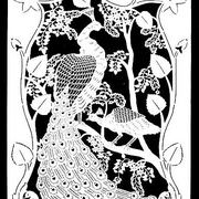 _20_picocks_card