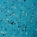 Dsc00852_square