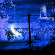 Nighthuntersmall_card