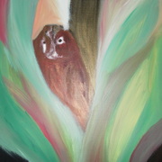 Sam_4234_card