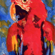B5_red_parrot_acrylic_on_board_5