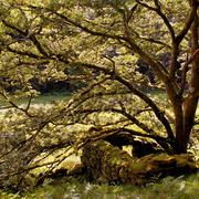 Imgp7268_card