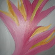 Sam_4243_card