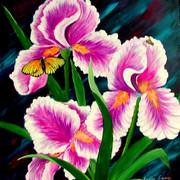 Dscf1633_card